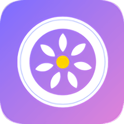 女司机(汽车违章查询)