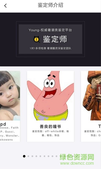 young(奢侈品鉴定) v1.0.56 安卓版2