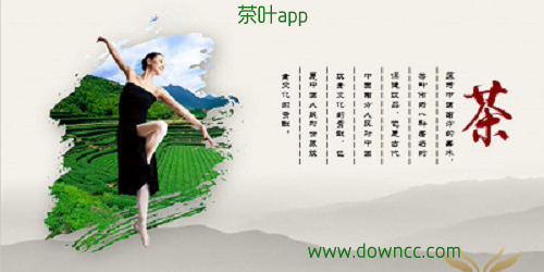 茶叶app