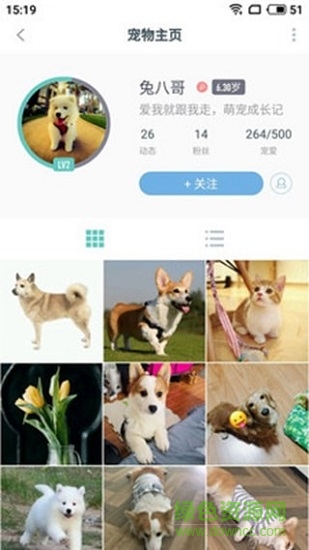 宁波宠咖 v1.0.0 安卓版0
