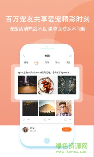 大派宠物 v0.9.1 安卓版1