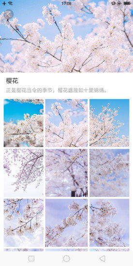 大脚壁纸 v1.0.0 安卓版0