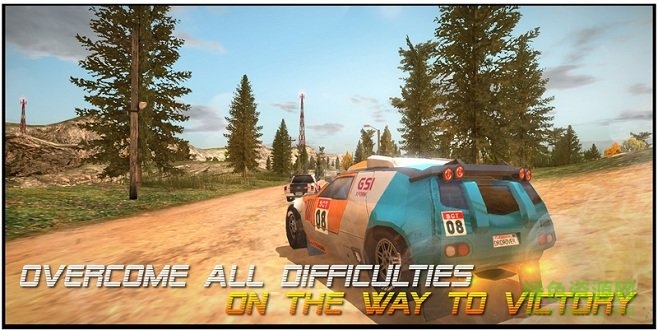 拉力赛车手(Dirt Rally Driver HD) v1.0.1 安卓版0