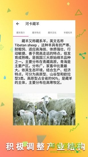 羊场专家 v1.10 安卓版1
