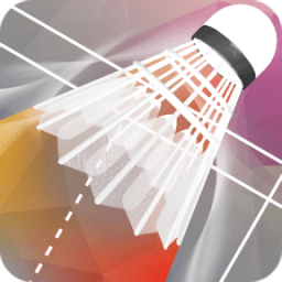 羽毛球比赛(Badminton)