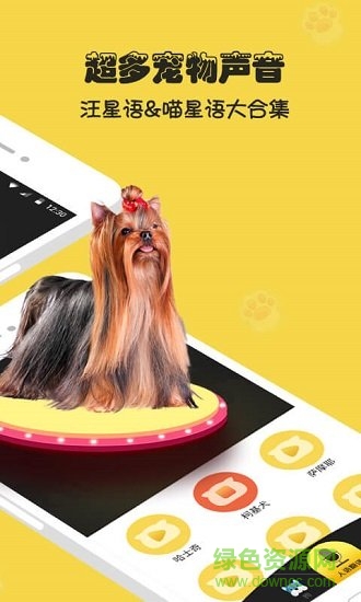 人狗猫交流器中文版 v2.5 安卓版0