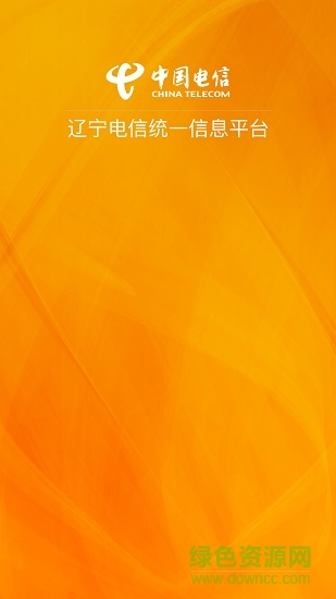 辽宁电信手机版 v1.0.0 安卓版0