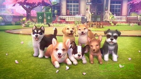 元气小狗测试版 v1.0 安卓版1