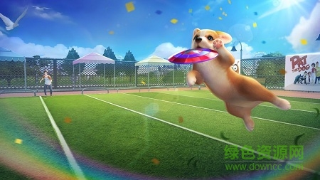 元气小狗测试版 v1.0 安卓版3