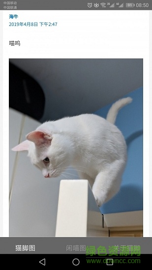猫脚(宠物社交) v2.0.2 安卓版0