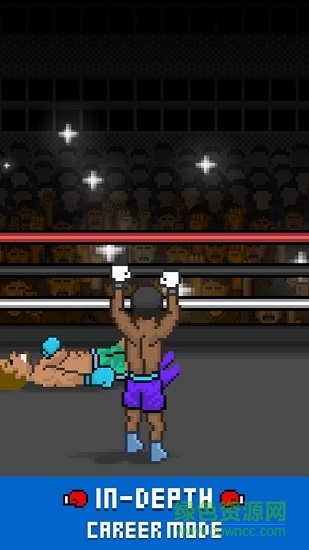 职业拳击手 v2.6.0.1 安卓版0