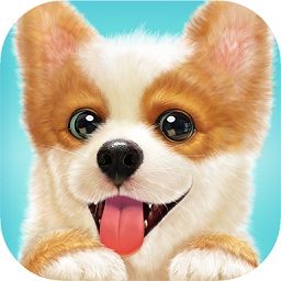 天天小狗游戏免费下载