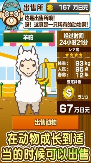 动物园饲养游戏 v1.4 安卓版1
