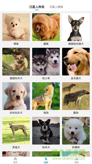 动物翻译器中文版 v1.7.0 安卓免费版2