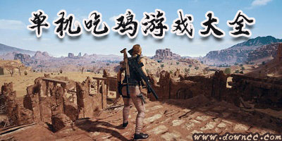 单机吃鸡游戏