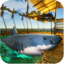 海上木筏求生记