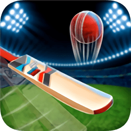 疯狂板球比赛手游下载