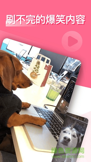 皮皮笑话 v1.0.0 安卓版0