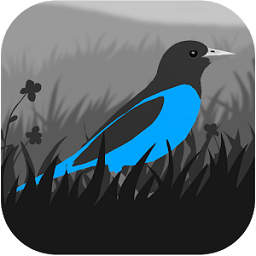 格雷兰手游(Grayland)