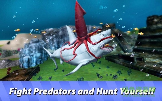 海洋鱿鱼模拟器(ocean squid simulator) v1.0 安卓版0