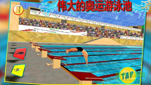 3d真实游泳手游 v1.8.6 安卓版0