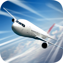真实飞机模拟驾驶中文