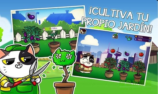 虚拟猫咪宠物中文 v2.50.1 安卓版2