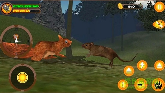 疯狂老鼠王 v1.1 安卓版2