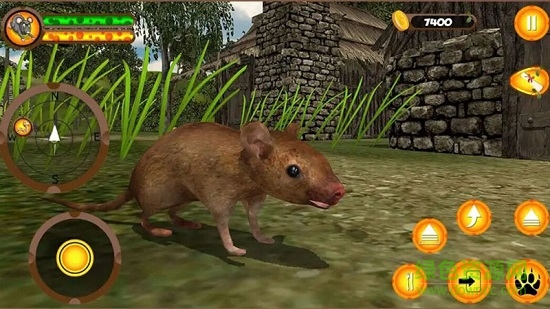 疯狂老鼠王 v1.1 安卓版3