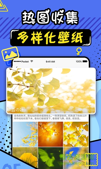 趣彩壁纸最新版本 v2.7 安卓手机版0