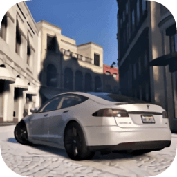 特斯拉驾驶模器(Drive Model S)