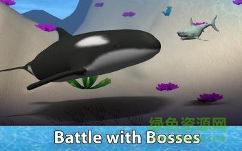 小格解说鲨鱼生存模拟器(Shark Simulator) v1.03 安卓手机版2