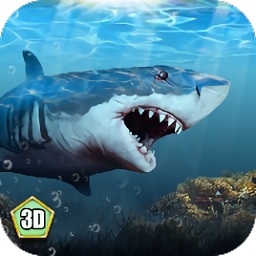 小格解说鲨鱼生存模拟器(Shark Simulator)