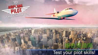 飞机飞行模拟器游戏 v1.94 安卓版3