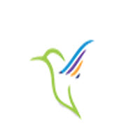 雷鸟下载百度网盘