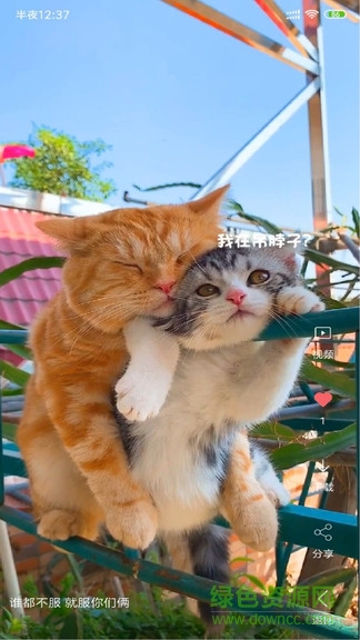 安果视频壁纸 v3.4.1 安卓版0