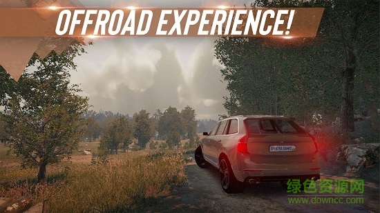 真实停车大师最新版 v1.1 安卓版1