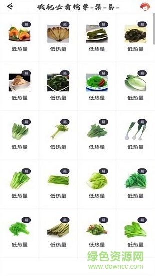 瘦瘦快减肥 v6.8 安卓版3