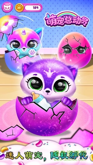 萌宠总动员手游 v1.0 安卓版0