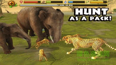 终极猎豹模拟器中文版 v1.1 安卓版2