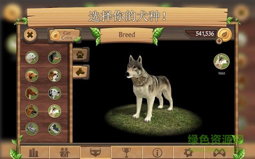 模拟狗子生存手游(Dog Sim) v100 安卓版1