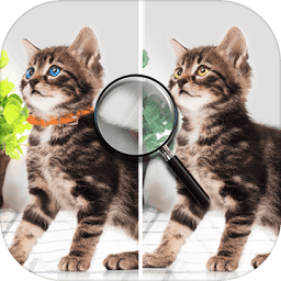 找茬找不同游戏下载