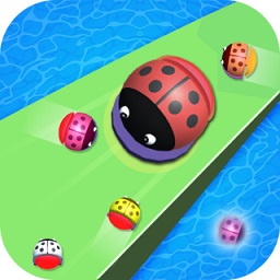 瓢虫决战battle ladybug(与瓢虫战斗)