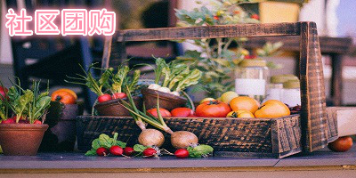 社区团购app