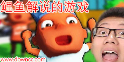 鲤鱼解说的游戏