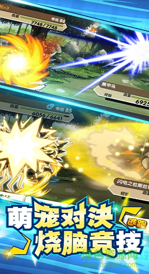 萌宠对战联盟 v1.0.0 安卓官方版0