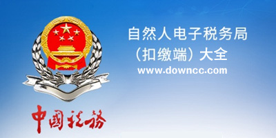自然人电子税务局