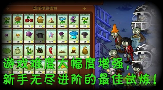 植物大战僵尸3.1版本全通关卡 植物大战僵尸3.1最终版