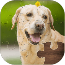 拼图高高手无限金币版