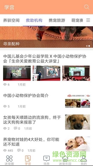 迷宠圈 v1.7 安卓版1